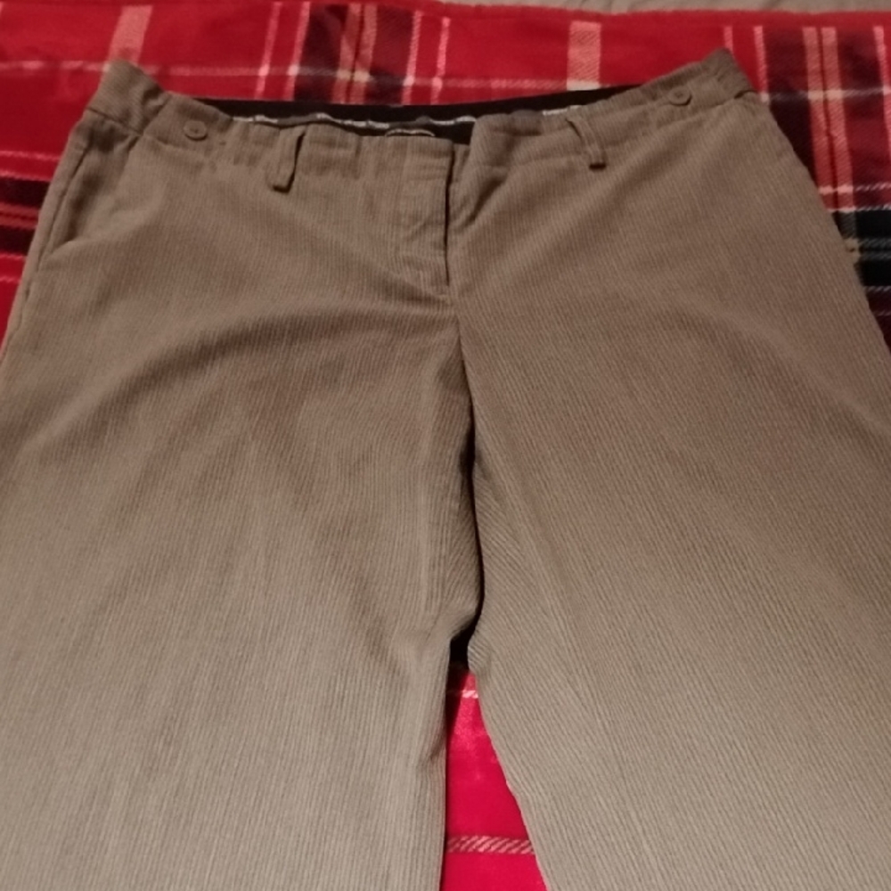 Express Gray Pinstripe Trousers